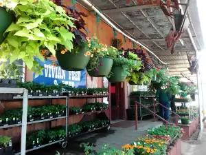 Vivian Feed & Seed