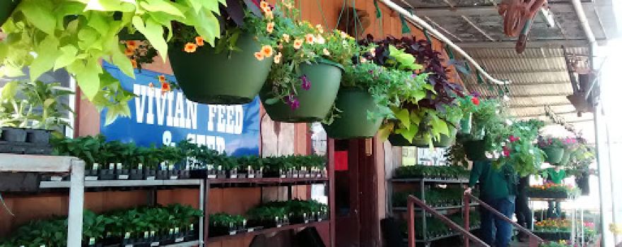 Vivian Feed & Seed