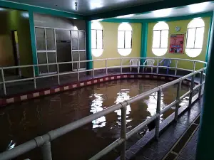 Baños De Fierro - Andajes