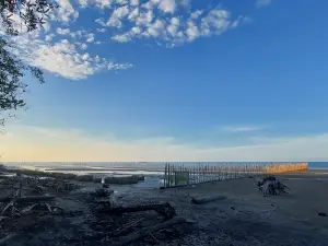 Wisata Mangrove Teluk Berukang (De Mangroop)