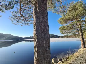Frilsjøen Camping