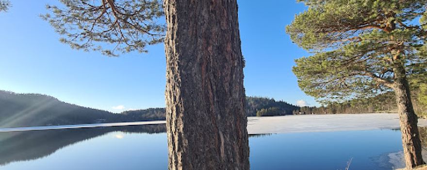 Frilsjøen Camping