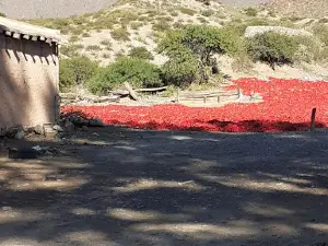 Cerro Terciopelo