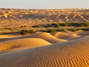 Lake Houidhat Erreched