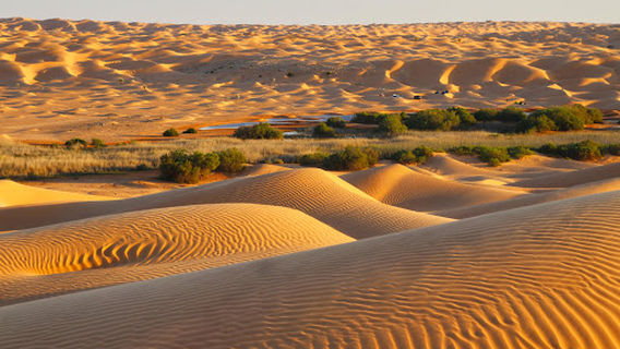 Lake Houidhat Erreched