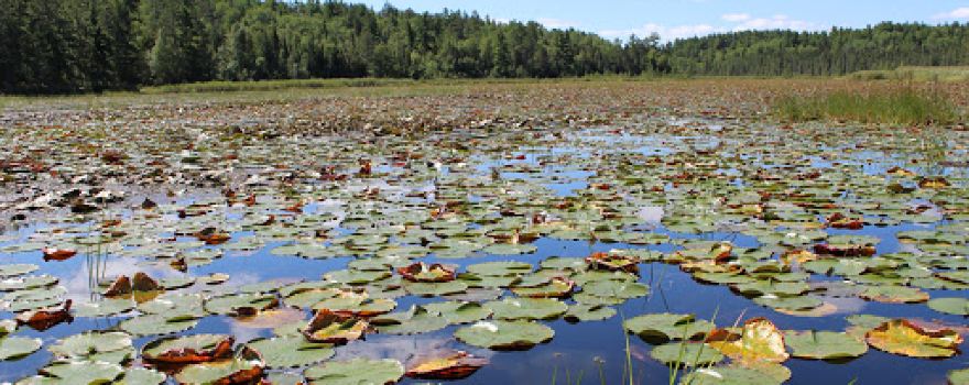 The Boundary Waters Canoe Area Wilderness