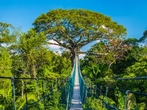 Reserva Nacional Tambopata