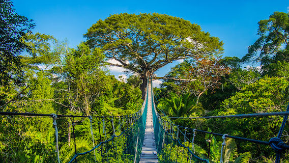 Reserva Nacional Tambopata