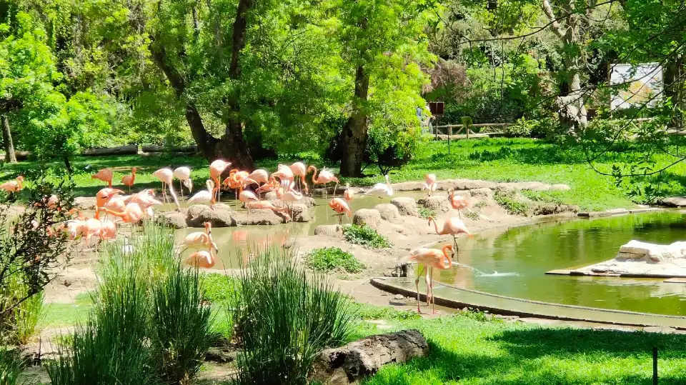 5_Zoo Aquarium de Madrid
