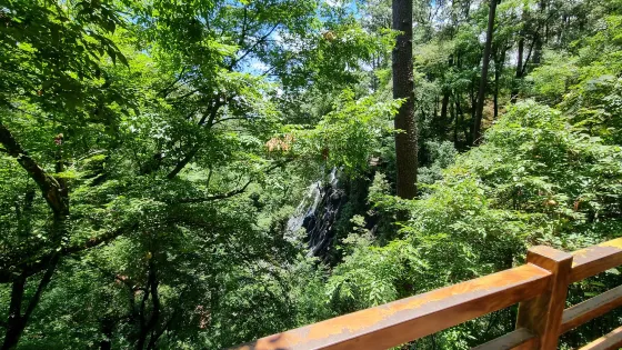 Velo de Novia Waterfall