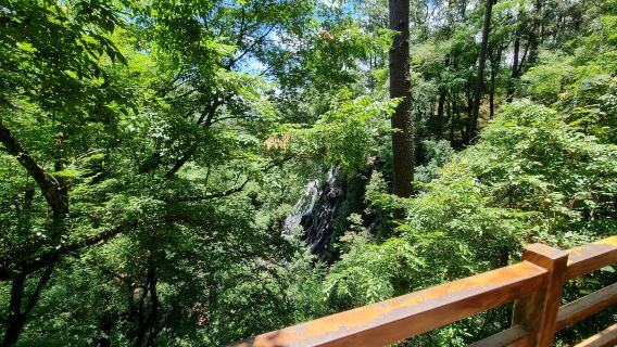 Velo de Novia Waterfall