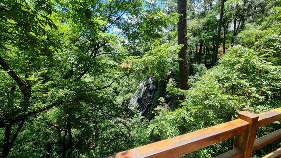 Cascada Velo de Novia