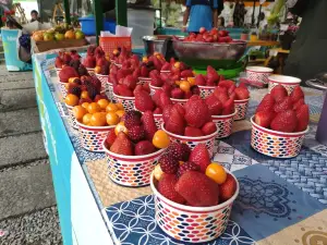 Parque Arvi