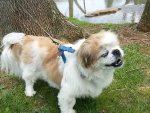 Sugar Hollow Park