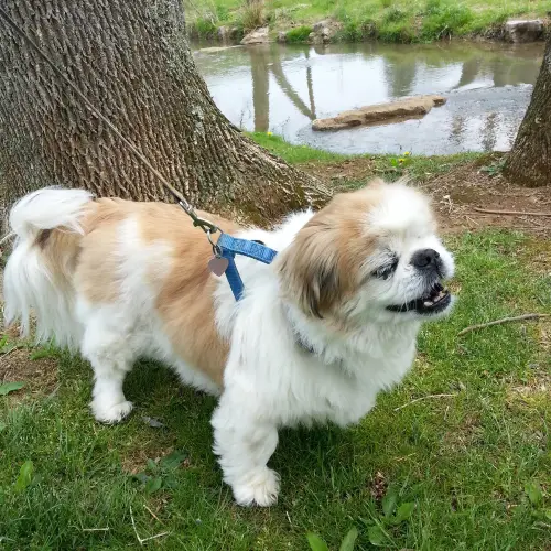 Sugar Hollow Park