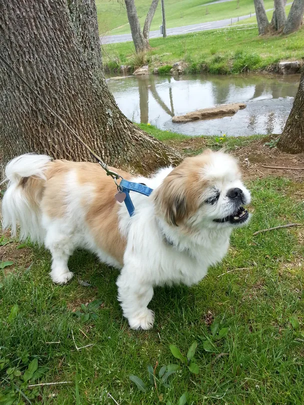 1_Sugar Hollow Park
