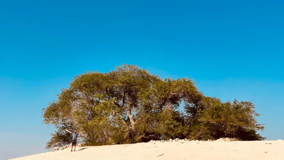 Tutti i tipi di traduttori, guide, auto a noleggio, fotografi, accompagnatori aziendali, accompagnamento medico, guide di viaggio, personalizzazione