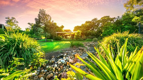 Ipswich Nature Centre