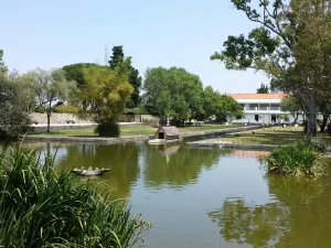 Parque Florestal de Monsanto