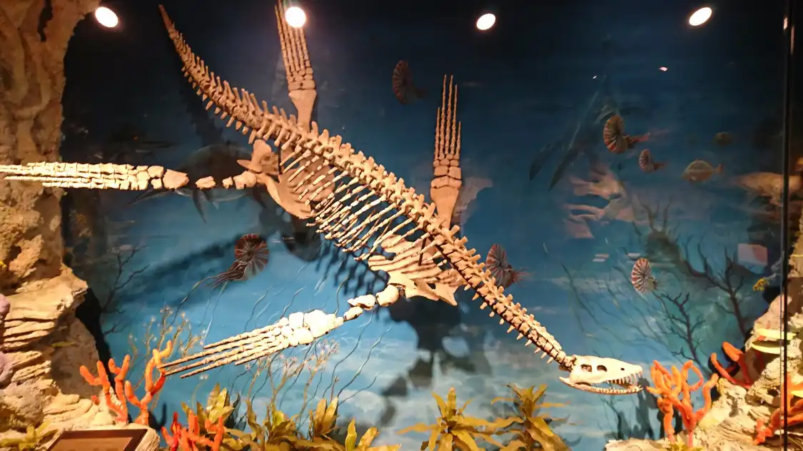 Hotels near The National Opal Collection