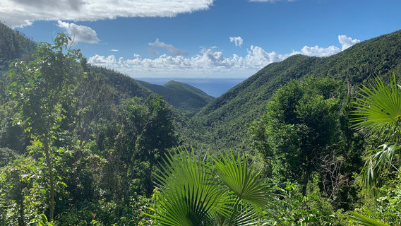 Cruz Bay