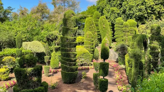 馬德拉植物園