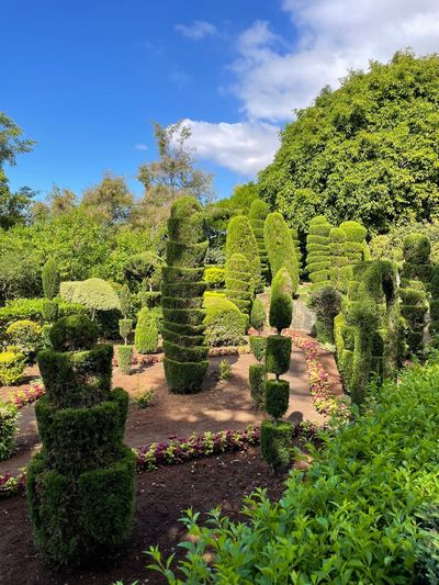 Madeira Botanical Garden