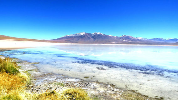 Laguna Verde