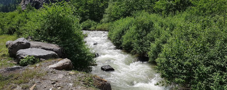 Altindere National Park
