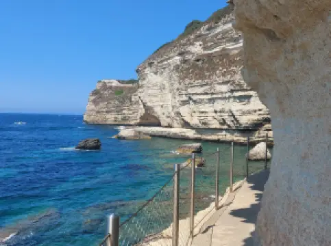 Escalier du Roy d'Aragon