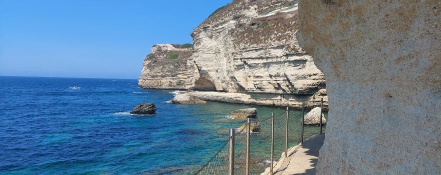 King Aragon Steps