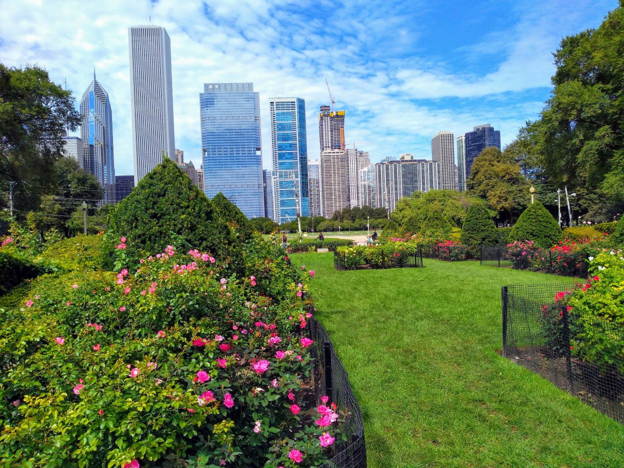 Popular Spring Outings in Chicago