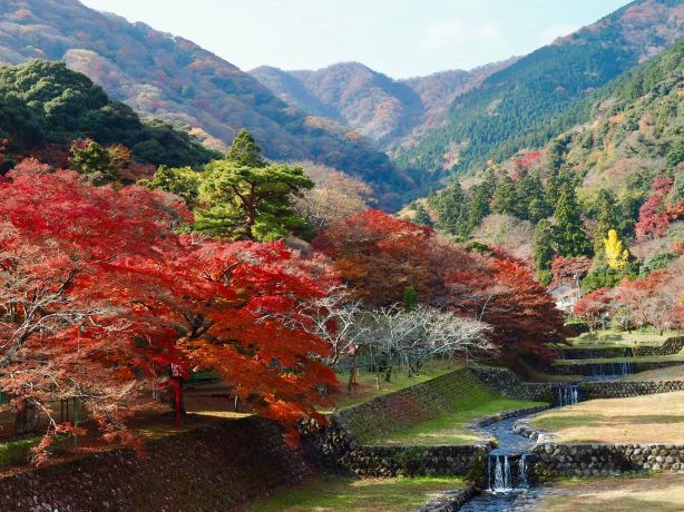 Yoro Park