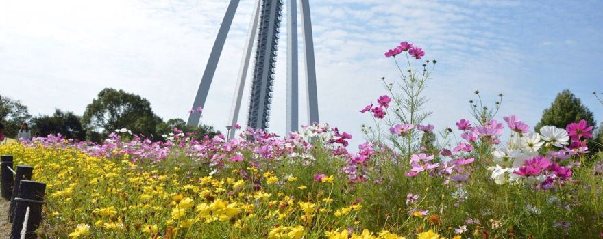 Kiso Sansen Park 138 Tower National Park
