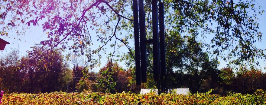 Ladoga Ridge Winery