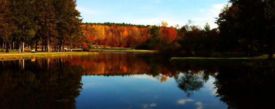 Benson Park