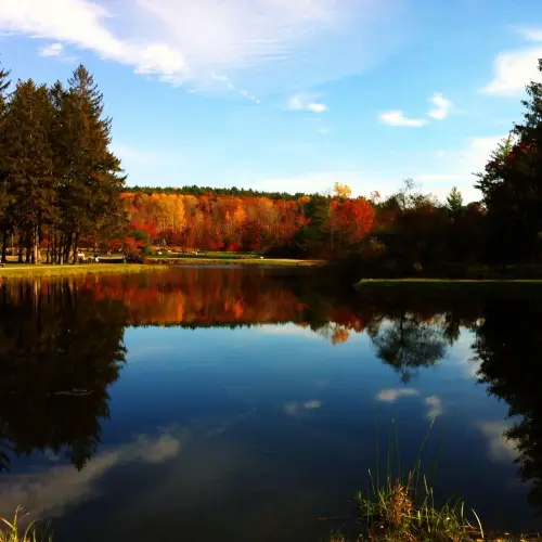 Benson Park