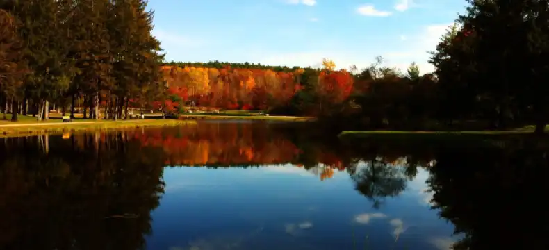 Hotels in Hillsborough County