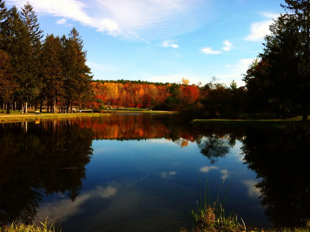1_Benson Park