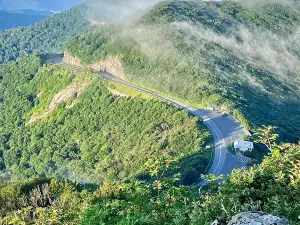 Craggy Gardens