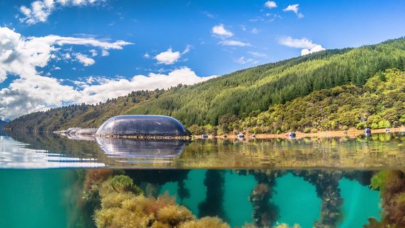 Pelorus Mail Boat Ltd