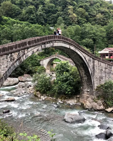 Arili