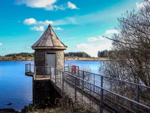 Llyn Llech Owain Country Park