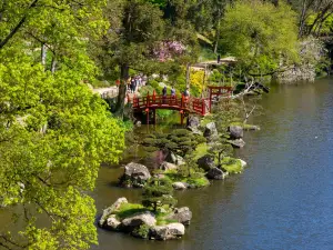 The Parc Oriental