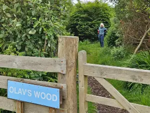 Olav’s Wood