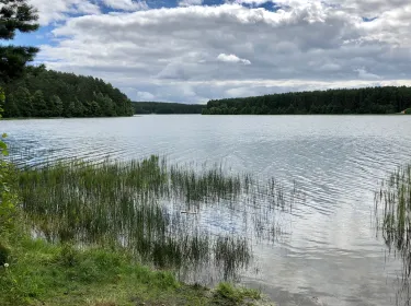 Suleczyno