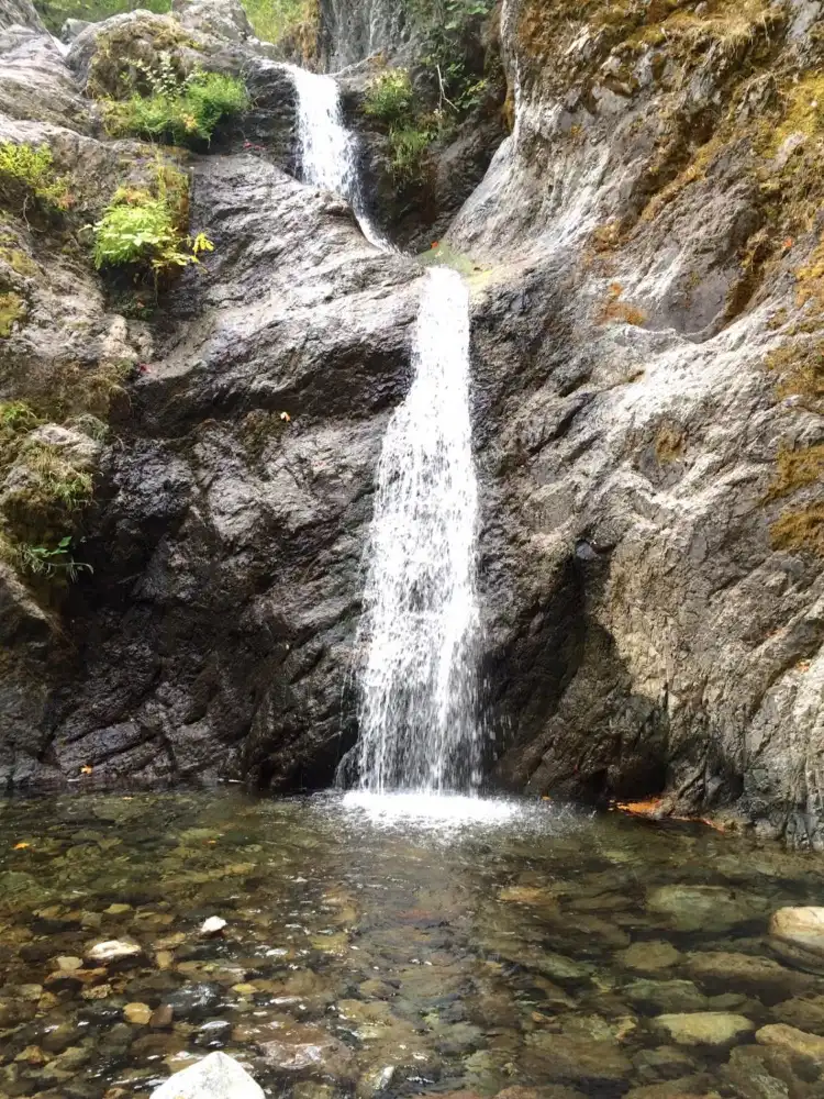Hotels near Mount Shasta City Park