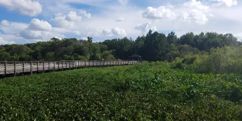 Lake Lotus Nature Park