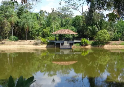 Horto Florestal