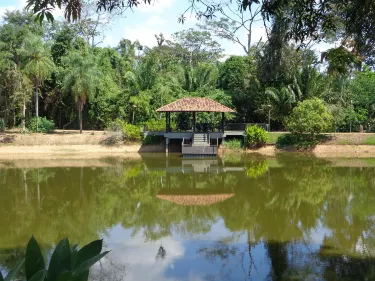 Horto Florestal